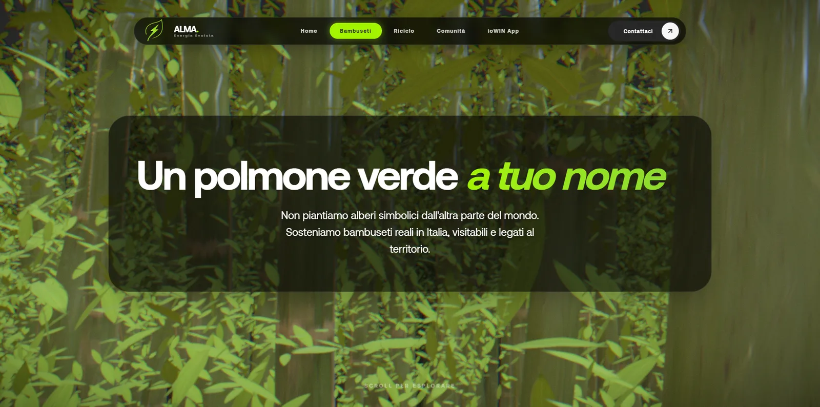 The 3D bamboo forest on the Bamboo Groves page: “Un polmone verde a tuo nome”, then the camera moves between the canes to “Un contratto, una vita.”