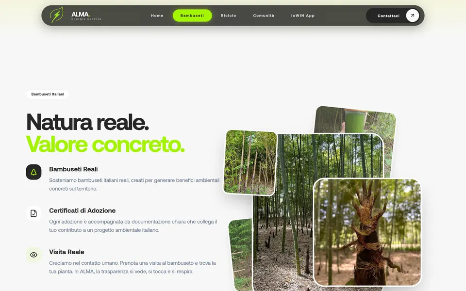 “Natura reale. Valore concreto.” with photos of the bamboo groves and the points Bambuseti Reali, Certificati di Adozione, Visita Reale